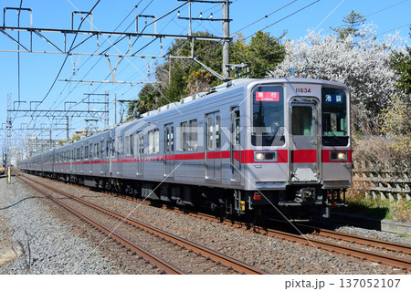 咲いた梅の花の横を走る東武10030型11634F　東上線 137052107