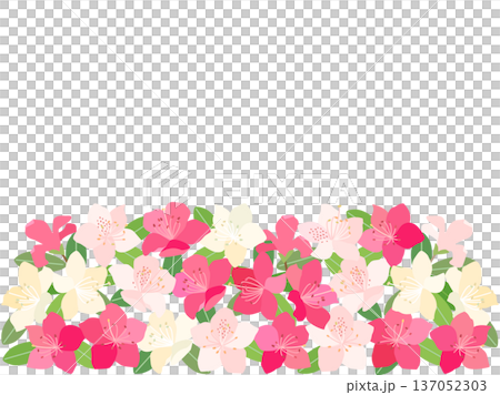 A card with an illustration of a white and pink azalea 137052303