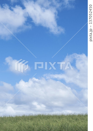 夏の爽やかな青空と草原 蒜山高原 夏の爽やかな青空と草原 蒜山高原 137052450