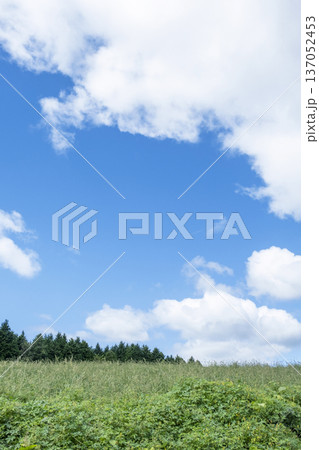 夏の爽やかな青空と草原　蒜山高原 137052453