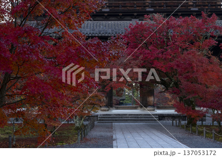 秋深まる紅参道 137053172