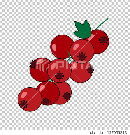 An illustration of a bunch of red currants with bright red fruit 137053218