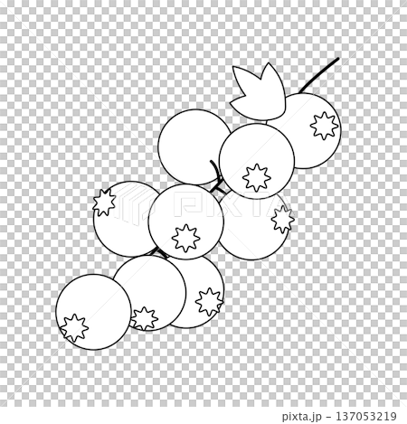 塗り絵や装飾に使えるレッドカラントのシンプルな線画イラスト 塗り絵や装飾に使えるレッドカラントのシンプルな線画イラスト 137053219