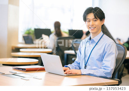 パソコンに向かうビジネスシーン 137053423