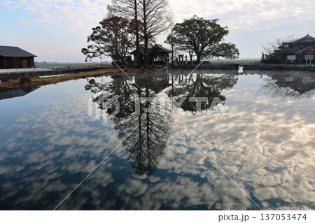 白石町縫いの池 白石町縫いの池 137053474