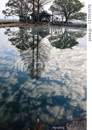 白石町縫いの池 137053476