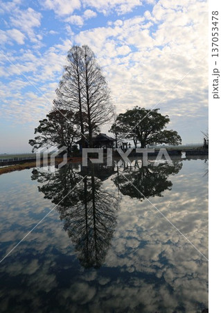 白石町縫いの池 白石町縫いの池 137053478