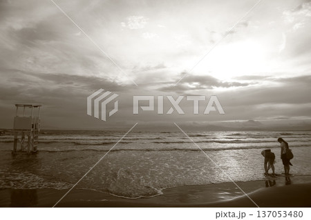 夕暮れの海岸を歩く人 137053480