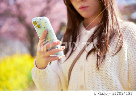 満開の桜の写真を撮る20代の女性 137054183