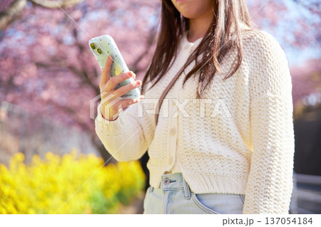 満開の桜の写真を撮る20代の女性 137054184
