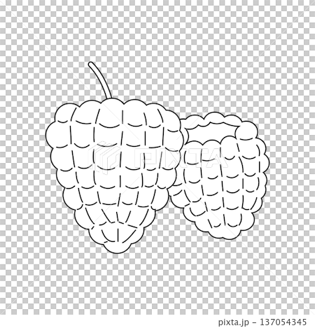 ラズベリーと木苺の線画の塗り絵用ベクターイラスト 137054345