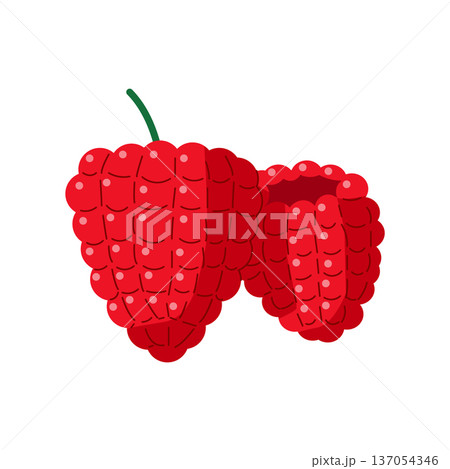 主線なしのラズベリーと木苺のフラットなベクターイラスト 137054346