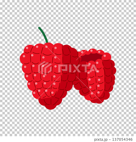 主線なしのラズベリーと木苺のフラットなベクターイラスト 137054346