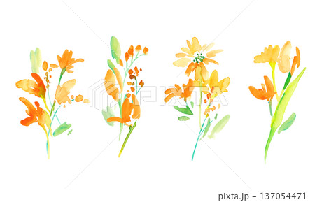 水彩画。水彩タッチの黄色い花イラストセット。黄色いチューリップのベクター植物背景。 137054471
