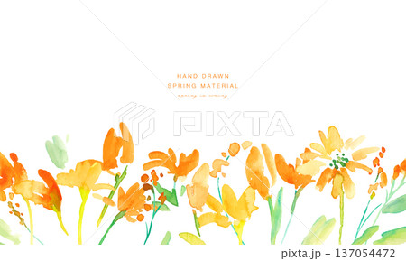 水彩画。水彩タッチの黄色い花イラストセット。黄色いチューリップのベクター植物背景。 水彩画。水彩タッチの黄色い花イラストセット。黄色いチューリップのベクター植物背景。 137054472