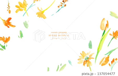 水彩画。水彩タッチの黄色い花イラストセット。黄色いチューリップのベクター植物背景。 水彩画。水彩タッチの黄色い花イラストセット。黄色いチューリップのベクター植物背景。 137054477