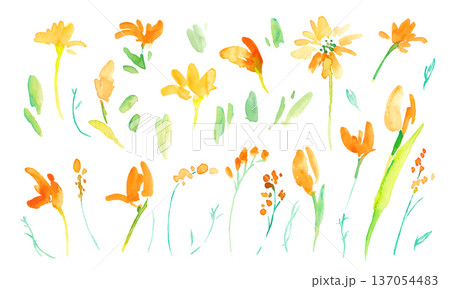 水彩画。水彩タッチの黄色い花イラストセット。黄色いチューリップのベクター植物背景。 水彩画。水彩タッチの黄色い花イラストセット。黄色いチューリップのベクター植物背景。 137054483