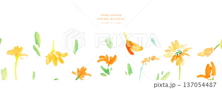 水彩画。水彩タッチの黄色い花イラストセット。黄色いチューリップのベクター植物背景。 137054487