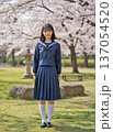 セーラー服の女子高生 137054520