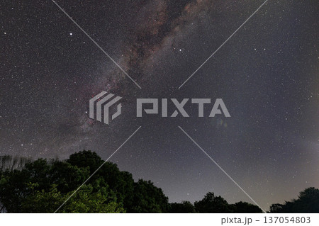 初夏の星景写真　天の川と夏の大三角・白鳥座 137054803