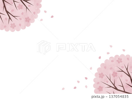 桜の対角線フレーム 花びら舞う春の背景 バナー・SNS向け素材 桜の対角線フレーム 花びら舞う春の背景 バナー・SNS向け素材 137054835
