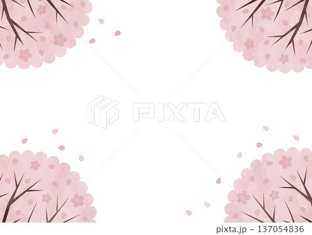 桜の四隅フレーム 花びら舞う春の背景 チラシ・案内状素材 137054836