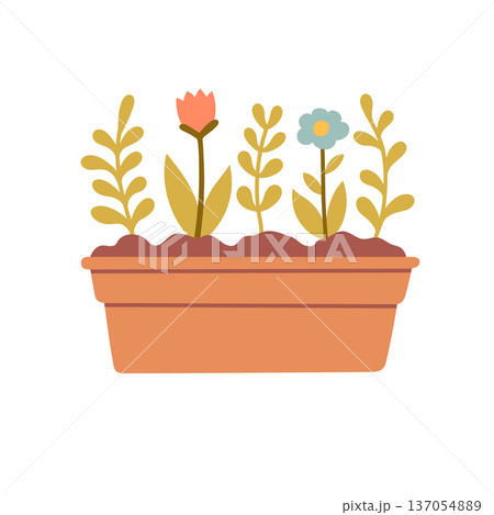 Flat vector flower box with blooming plants and leaves. Minimal garden container illustration isolated on light background for spring, landscaping and home decor themes Flat vector flower box with blooming plants and leaves. Minimal garden container illustration isolated on light background for spring, landscaping and home decor themes 137054889