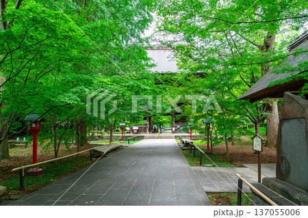 【東京都】爽やかな夏の緑が美しい九品仏浄真寺 【東京都】爽やかな夏の緑が美しい九品仏浄真寺 137055006