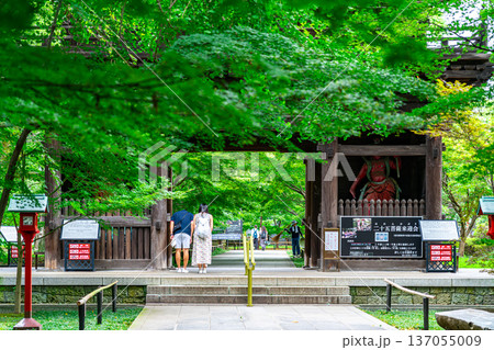 【東京都】爽やかな夏の緑が美しい九品仏浄真寺 【東京都】爽やかな夏の緑が美しい九品仏浄真寺 137055009