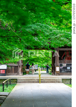【東京都】爽やかな夏の緑が美しい九品仏浄真寺 137055010
