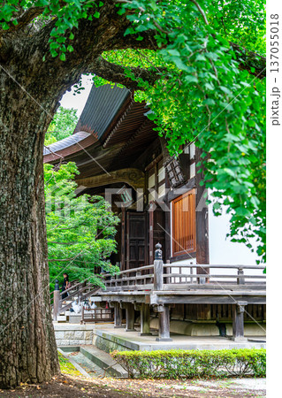 【東京都】爽やかな夏の緑が美しい九品仏浄真寺の龍護殿 【東京都】爽やかな夏の緑が美しい九品仏浄真寺の龍護殿 137055018