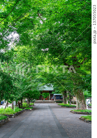 【東京都】生い茂る夏の緑が美しい九品仏浄真寺 【東京都】生い茂る夏の緑が美しい九品仏浄真寺 137055023