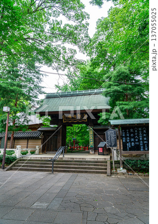 【東京都】生い茂る夏の緑が美しい九品仏浄真寺 137055025