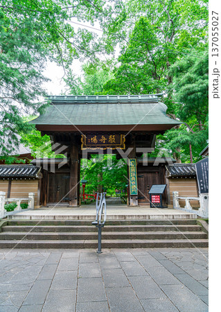 【東京都】生い茂る夏の緑が美しい九品仏浄真寺 137055027