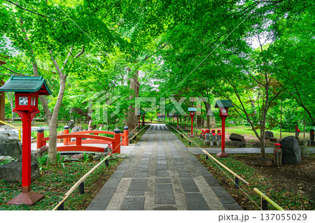 【東京都】爽やかな夏の緑が美しい九品仏浄真寺 137055029