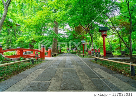 【東京都】爽やかな夏の緑が美しい九品仏浄真寺 137055031