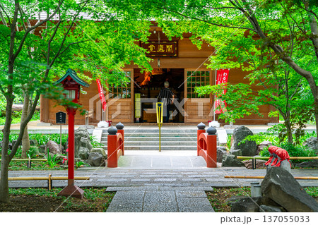 【東京都】爽やかな夏の緑が美しい九品仏浄真寺 137055033