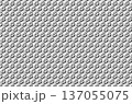 空洞の正六面体ブロック辺フレーム連続パターンテクスチャー 空洞の正六面体ブロック辺フレーム連続パターンテクスチャー 137055075