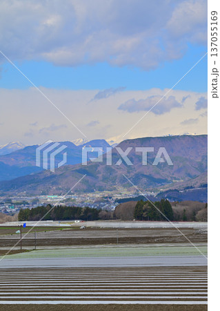 赤城高原からの眺め　綺麗に整備された畑　昭和村　 137055169