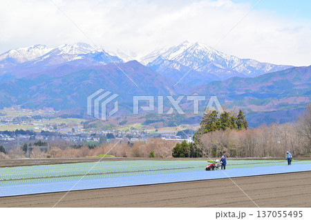 農作業中 赤城高原畑からの眺め 上越の雪山 昭和村 農作業中 赤城高原畑からの眺め 上越の雪山 昭和村 137055495