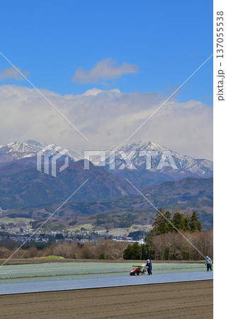 農作業中 赤城高原畑からの眺め 上越の雪山 昭和村 農作業中 赤城高原畑からの眺め 上越の雪山 昭和村 137055538