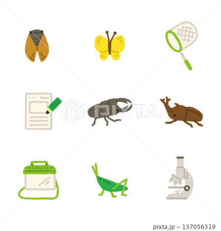 虫取り イラスト アイコンセット 夏休み 自由研究 手描き かわいい 137056319