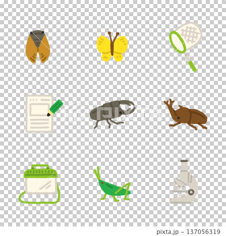 虫取り イラスト アイコンセット 夏休み 自由研究 手描き かわいい 137056319