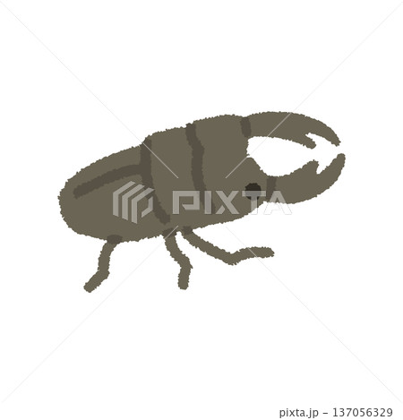 クワガタ イラスト 夏 昆虫 手描き シンプル クワガタ イラスト 夏 昆虫 手描き シンプル 137056329