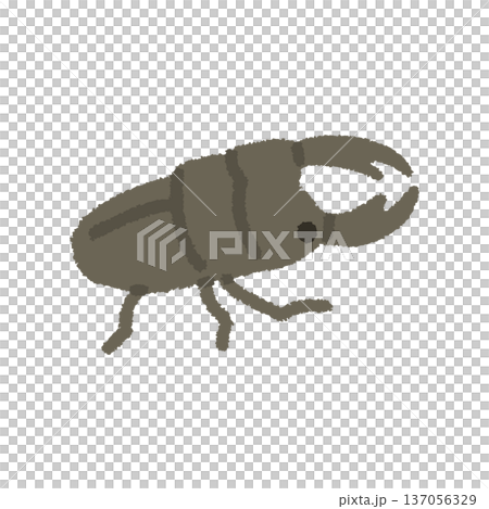 クワガタ イラスト 夏 昆虫 手描き シンプル クワガタ イラスト 夏 昆虫 手描き シンプル 137056329