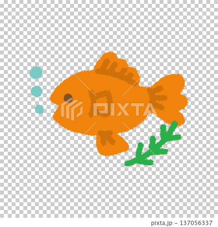 金魚 イラスト 子ども向け 手描き シンプル 137056337