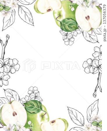 Frame with green apples, flowers, and graphic elements. Watercolor hand drawn illustration isolated on white background 137056379