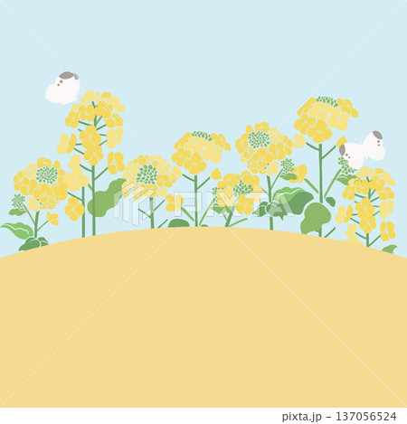 テキスタイル風・菜の花のベクターイラストテンプレート（文字無し）｜春の花背景・和モダンデザイン素材 137056524