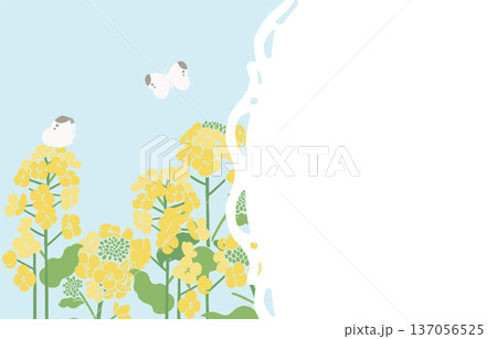 テキスタイル風・菜の花のベクターイラストテンプレート（文字無し）｜春の花背景・和モダンデザイン素材 137056525