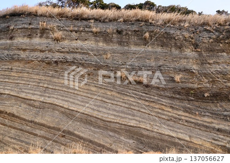 地層大切断面 地層大切断面 137056627